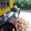 Monthly fair of Dolahena Women's Work Organization (2023-06-11) 
